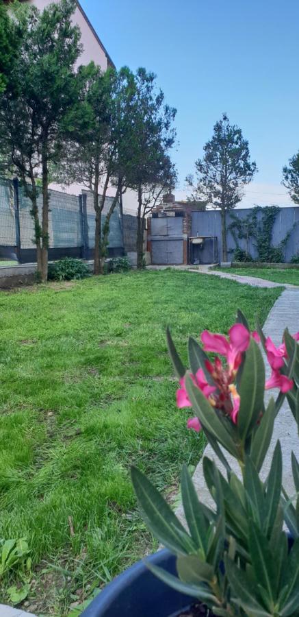 Pensiunea Andra Costinesti Bagian luar foto